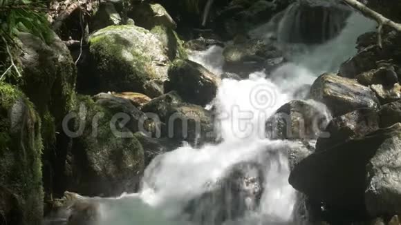 小溪流过岩石视频的预览图