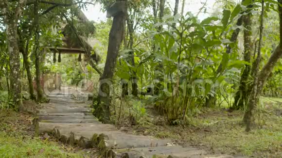 土著人民光着脚在村外的森林小径上奔跑视频的预览图