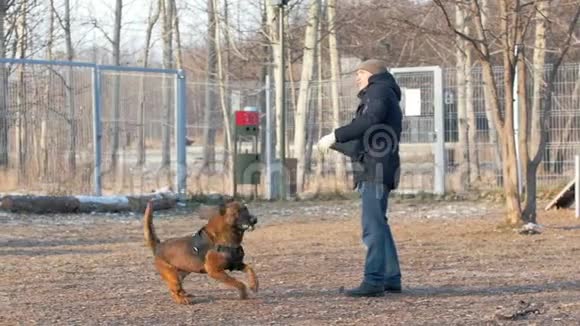 一个人在操场上训练他的狗扔棍子视频的预览图