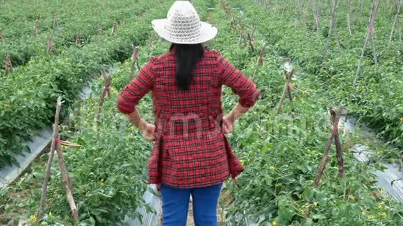 亚洲园丁妇女在农田里工作农业和种植理念视频的预览图