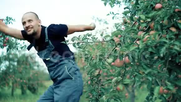 苹果农夫跳舞视频的预览图