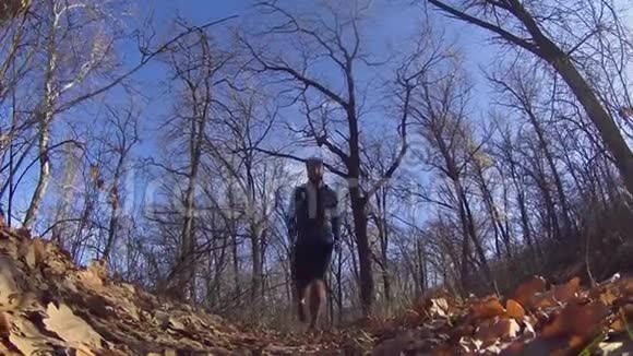 运动员沿着秋天森林的小径奔跑视频的预览图