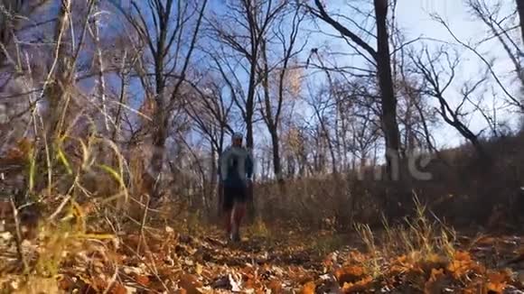 运动员沿着秋天森林的小径奔跑视频的预览图