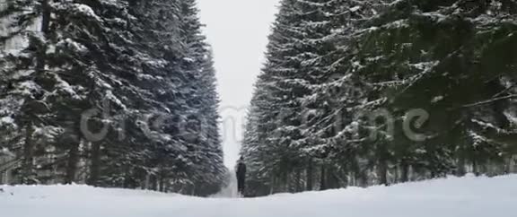 在寒冷的天气里运动服里面目全非的运动员在公园的雪巷里慢跑视频的预览图