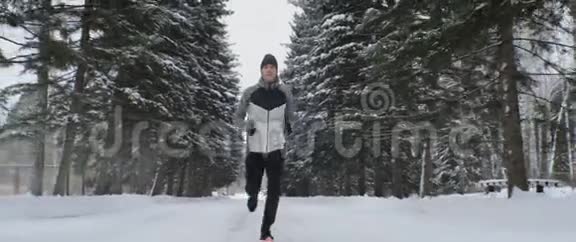 白人跑步者在公园里训练杉树在冬天户外运动视频的预览图