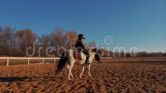 女骑手骑着马波尼上的小骑马者沿着跑道跳跃他练习骑马视频的预览图