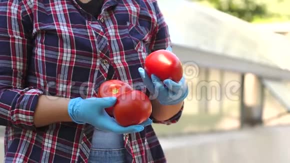 女园丁在温室里抱着成熟的番茄视频的预览图