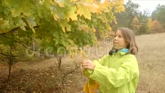 一个女孩采摘树叶露水视频的预览图