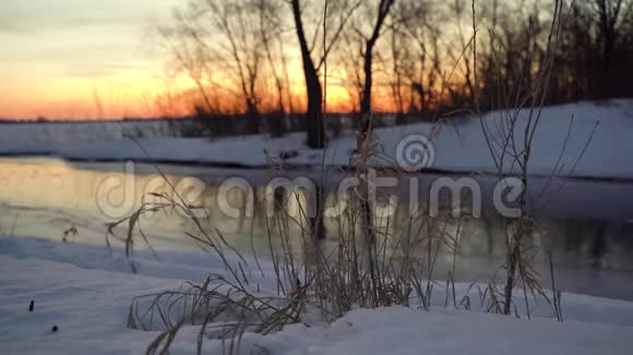 冬天的风景阳光明媚的早晨白雪覆盖的白桦林中的霜冻树木视频的预览图