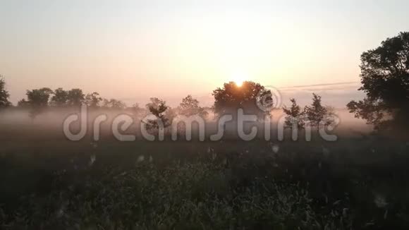 在雾海和黎明的太阳上沿着大地飞翔视频的预览图