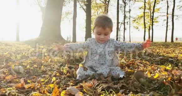 在秋天新鲜的空气中小女孩滑稽地玩耍在公园里吐黄叶视频的预览图