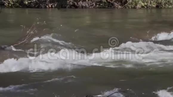 佐治亚州塔卢拉峡6K一个平底锅左至右穿过塔卢拉河上的小急流视频的预览图