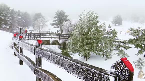 冬天的景色有一座结冰的桥四周都是雪游客们在欣赏风景视频的预览图