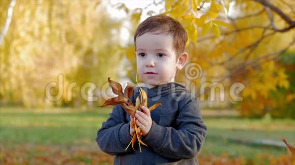 孩子们在公园里玩耍向一个微笑的男孩扔黄色的秋叶一个快乐的婴儿快乐的情绪的概念视频的预览图