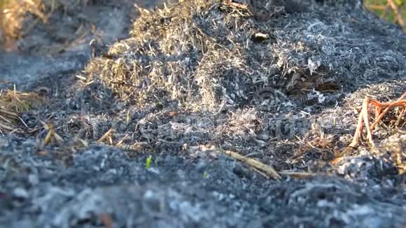 一场大火就烧成灰烬视频的预览图