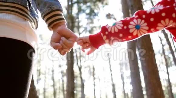 幸福的母女俩手牵手走着一起走在松林里视频的预览图