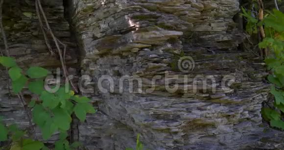 犹他州山谷徒步旅行小径上的分层和绿色树叶的纹理岩石视频的预览图