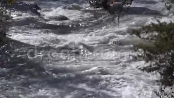 佐治亚州塔卢拉峡6K倾斜在塔卢拉河上的重型急流跟随水流视频的预览图