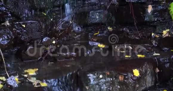 缓慢的平底锅向上的特写在瀑布上在树枝和树叶之间溅起水滴视频的预览图