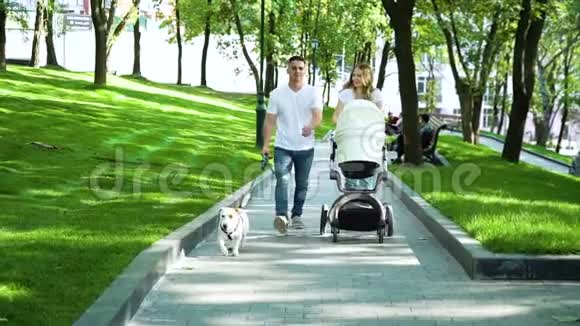 年轻的父母带着婴儿车和狗在夏季公园散步视频的预览图