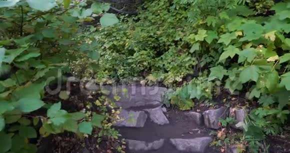 在一条带有天然岩石的小径上缓慢的平底锅到树叶的右边在泥土小径的中间视频的预览图