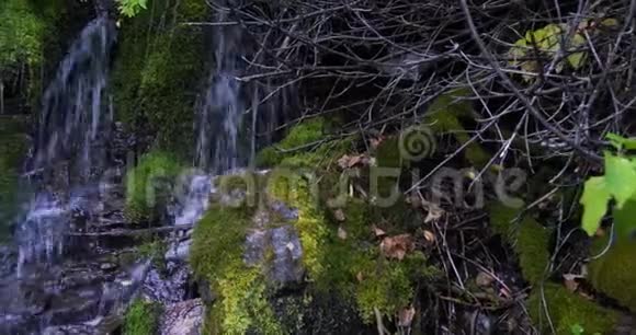 苔藓覆盖的岩石构成了一个瀑布在一条徒步旅行小径的一侧直到廷巴诺戈斯山的山顶视频的预览图