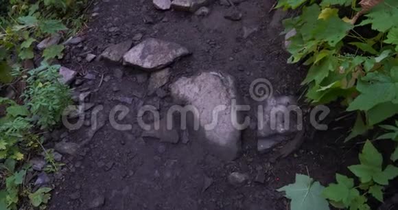 靠近岩石小径前往Timpanogos山沿着前面的小径向上滑行视频的预览图