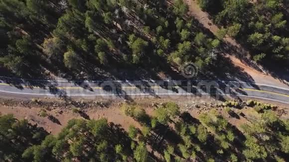 车辆在蛇形公路上行驶在山口穿过松树林视频的预览图