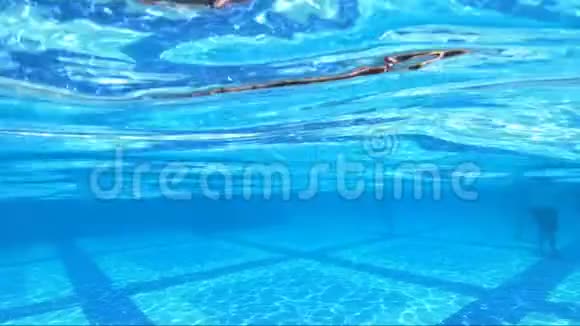 热带度假胜地的游泳池和豪华酒店视频的预览图