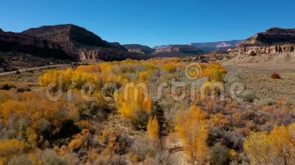 在阳光明媚的秋日生长着黄叶树的河床上视频的预览图