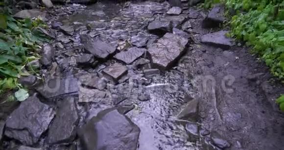 温柔的河流流过犹他州山谷密林中的岩石徒步旅行的小径视频的预览图