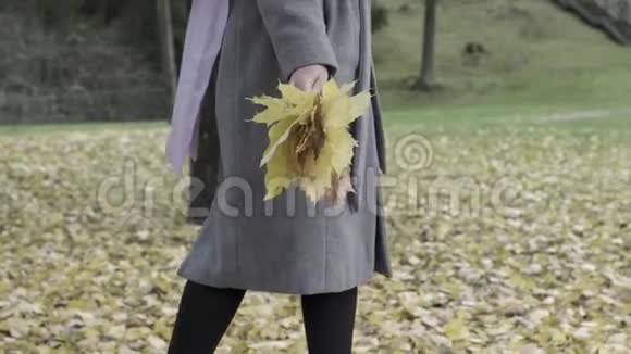 一个戴着紫色围巾和一束落叶的女人在秋天的公园里慢慢地走着美丽的黄叶视频的预览图