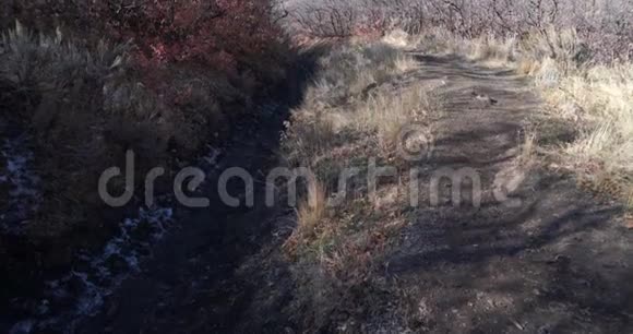 盐湖城山上一条干旱的徒步小路的半边平底锅视频的预览图