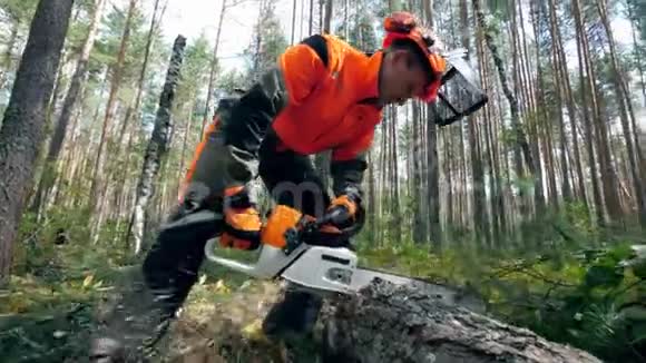 木工用电锯砍树视频的预览图