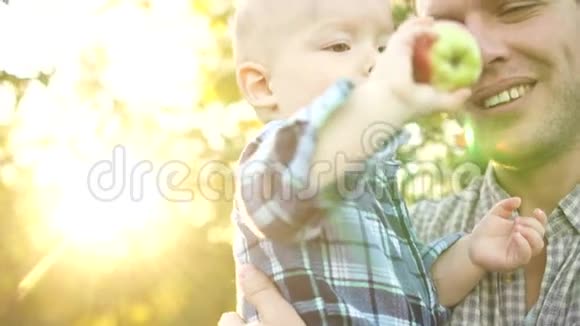 可爱的男孩和他爸爸在夏天的花园里孩子吃一个苹果爸爸开心地笑圣利斯父亲节视频的预览图