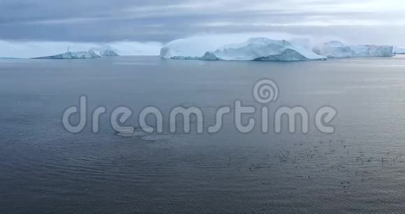 格陵兰岛冰山上的一群长须鲸的空中无人机5座头鲸侵犯北极自然视频的预览图