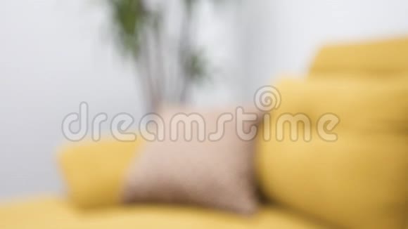 米色枕头漂亮的图案放在明亮的黄色沙发上背景绿色手掌视频的预览图