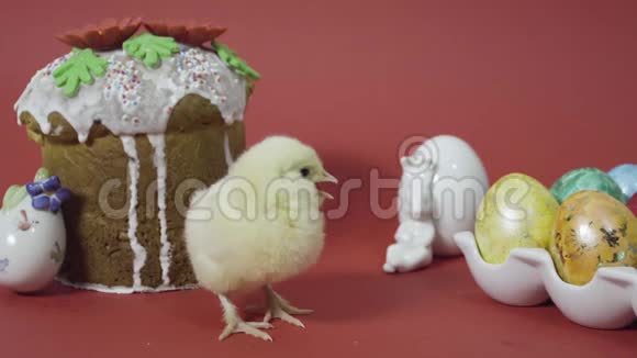 小鸡复活节蛋糕小兔子和五颜六色的装饰鸡蛋红色背景视频的预览图