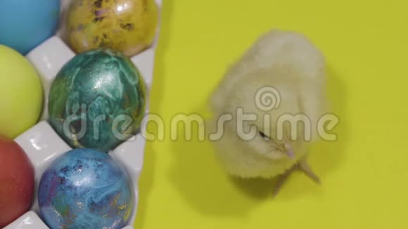 毛茸茸的小鸡站在附近装饰的复活节鸡蛋黄色背景顶部视图视频的预览图
