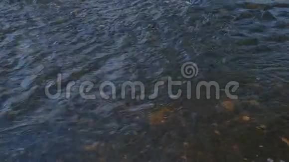 秋天黑暗的河流里有游泳的树叶和潮湿的石头视频的预览图