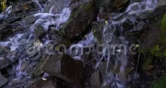 在犹他州山谷森林的岩石地形上湍急的水流在崎岖的岩石之间缓慢地垂直向下流动视频的预览图
