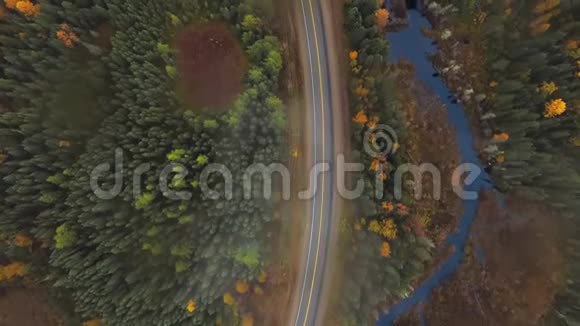 空中摄像机拍摄了一片明亮的针叶林中的道路在晴朗的秋日里有一条小河视频的预览图