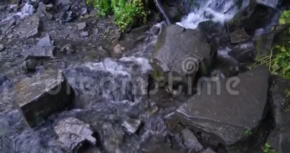 郁郁葱葱的树叶和原木挂在小径边缘的一条小溪上水流过小径视频的预览图