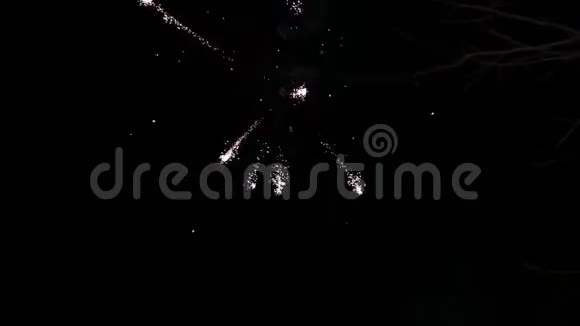 夜空背景上的烟花视频的预览图
