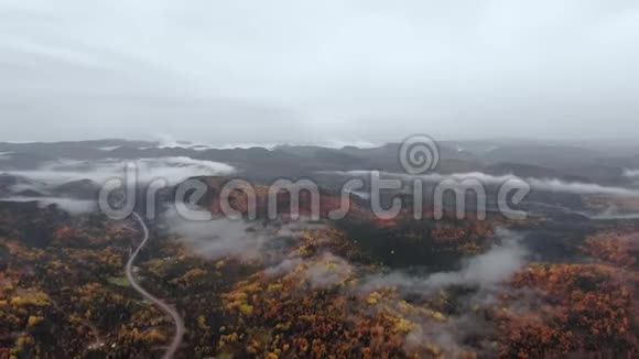 一架无人机在一片茂密的黄色森林上空盘旋在一个黑色的山脉上蜿蜒的道路视频的预览图