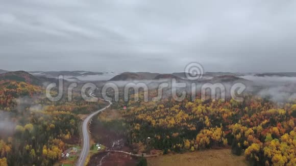 一架无人机在浓雾中在群山附近的一片秋色森林中从蜿蜒的道路上升起视频的预览图