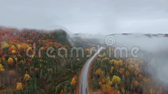 在浓雾中的山脉上在一片黄色的秋林中沿途的空中景色视频的预览图
