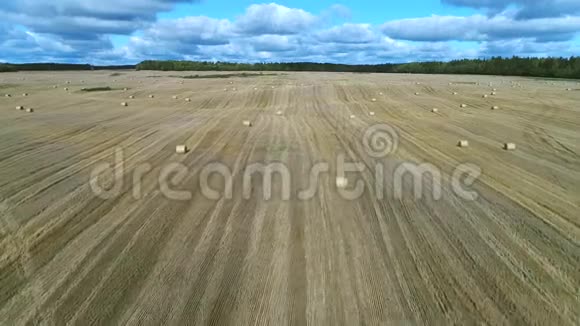 飞越收获的野外空中视频俄罗斯列宁格勒地区视频的预览图