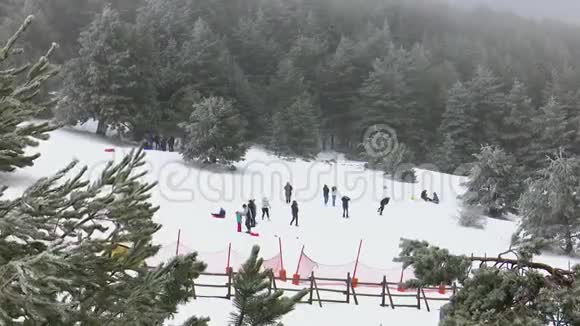 人们在雪地里享受一天的时光当下雪的时候他们会散步和雪橇视频的预览图