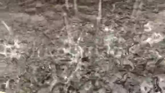 水滴叫雨视频的预览图